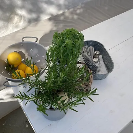 Letihome Paros Vakantiehuis *